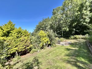 Photo 43- click for photo gallery